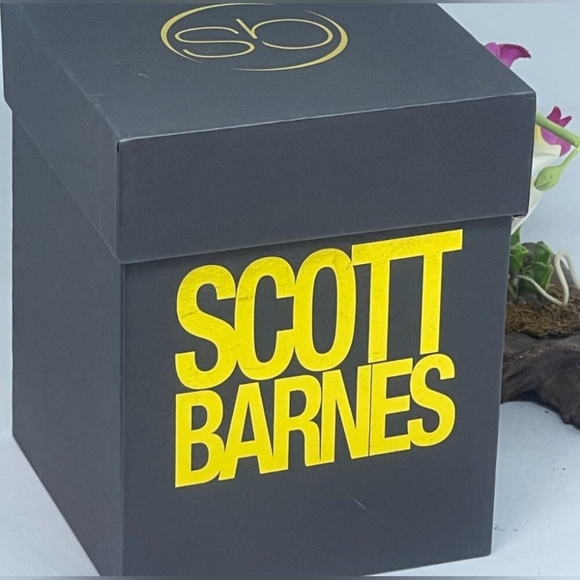 Scott Barnes Limited Edition Snow Globe-NIB - Picture 7 of 7